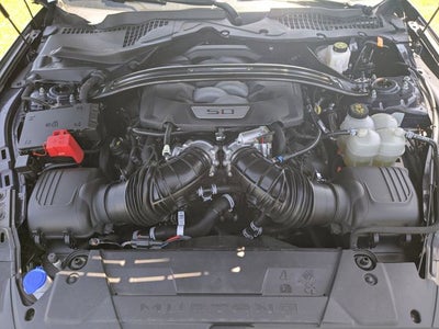 2024 Ford Mustang Dark Horse