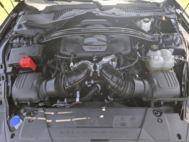 2024 Ford Mustang Dark Horse