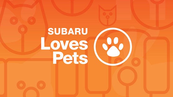 Dyer Subaru in Vero Beach FL