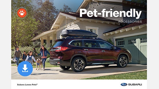 Dyer Subaru in Vero Beach FL
