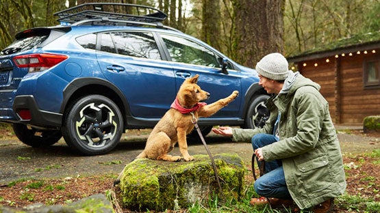 Dyer Subaru in Vero Beach FL