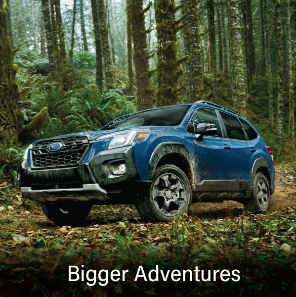 A blue Subaru outback wilderness with the words &ldquo;Bigger Adventures&ldquo;. | Dyer Subaru in Vero Beach FL