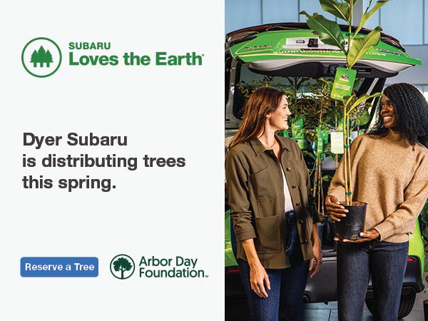 Dyer Subaru tree giveaway event